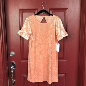 NWOT Velvet Ruffle pink Dress fall velour tshirt dress